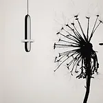 Ideal Rent - Sirtori 10